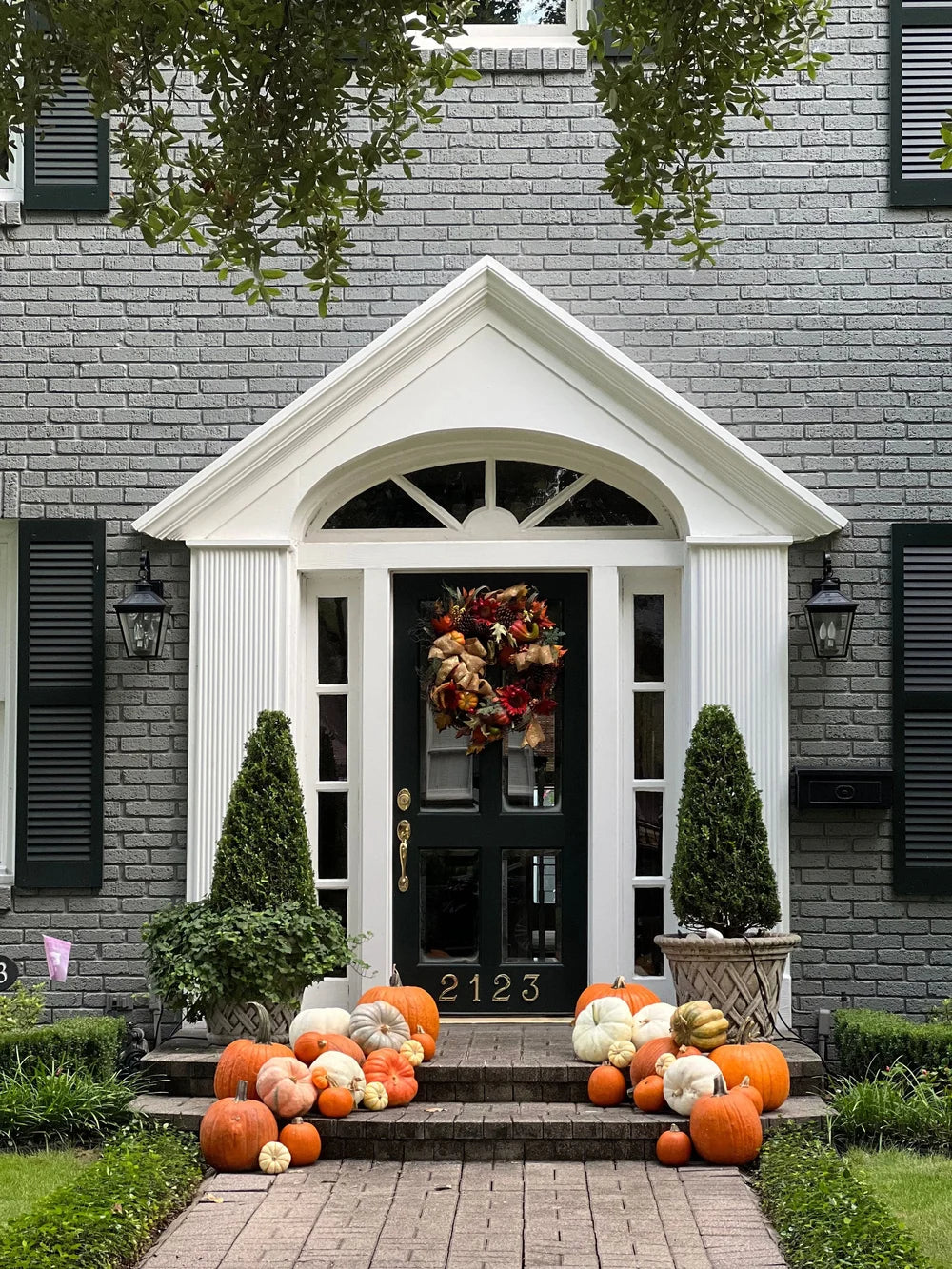 Petite Pumpkin Package